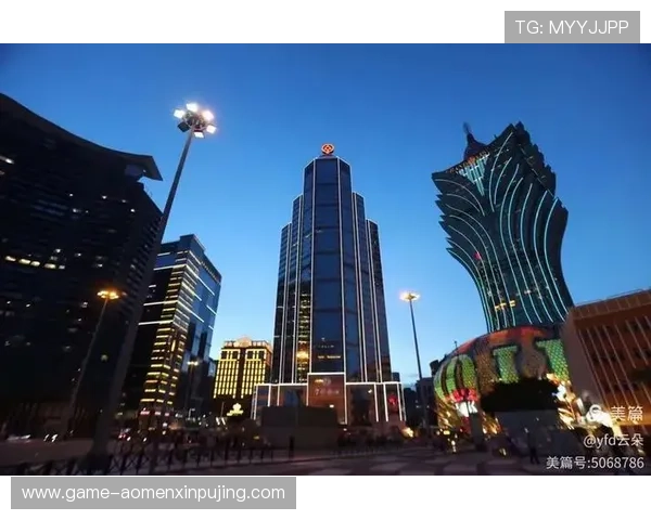 澳门新京官网网页版最新登录地址，确保用户第一时间访问官方权威信息平台