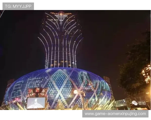 澳门新葡京手机版APP安全可靠的下载指南与使用技巧详解